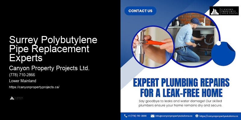 Benefits of Professional Polybutylene Pipe Replacement in Surrey Polybutylene Pipe Replacement Experts