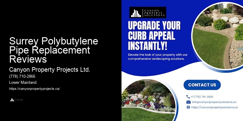 Polybutylene Pipe Problem Solvers Surrey Polybutylene Pipe Replacement Reviews