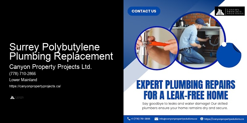 Full-Service Polybutylene Pipe Replacement Surrey Polybutylene Plumbing Replacement