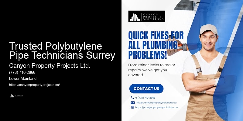 Trusted Polybutylene Pipe Technicians Surrey