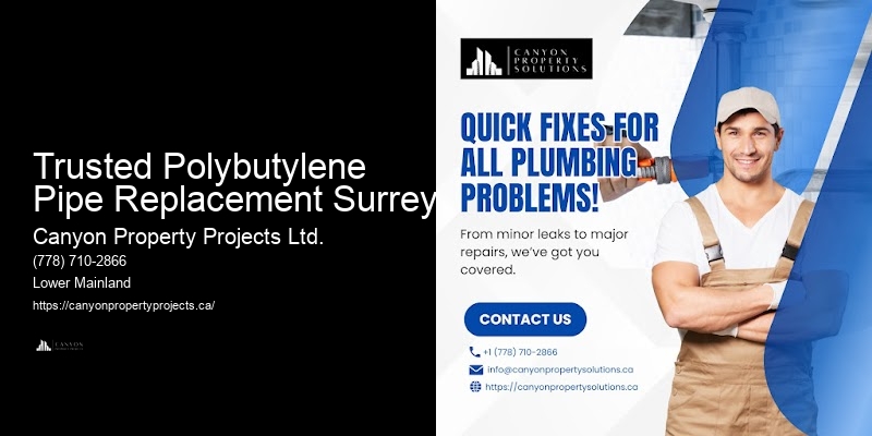 Polybutylene Pipe Inspection Checklist Trusted Polybutylene Pipe Replacement Surrey