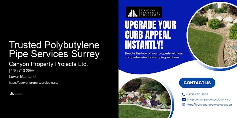 Best Practices for Polybutylene Pipe Replacement Trusted Polybutylene Pipe Services Surrey