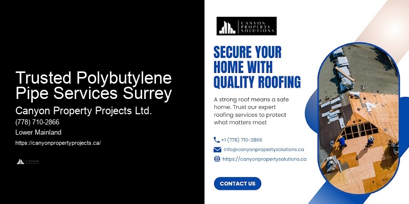 Local Polybutylene Pipe Replacement Services Trusted Polybutylene Pipe Services Surrey