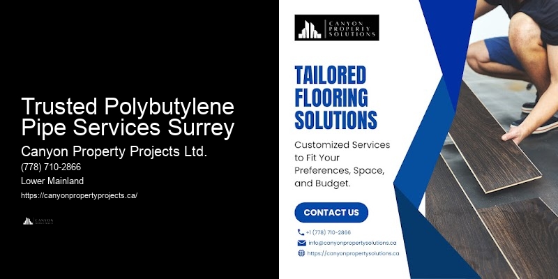 Quality Polybutylene Plumbing Replacement at Competitive Prices