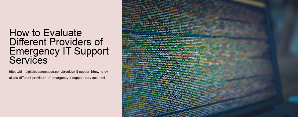 How to Evaluate Different Providers of Emergency IT Support Services