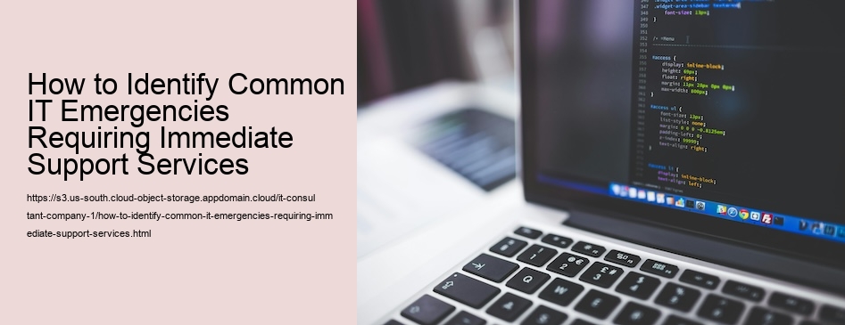 How to Identify Common IT Emergencies Requiring Immediate Support Services
