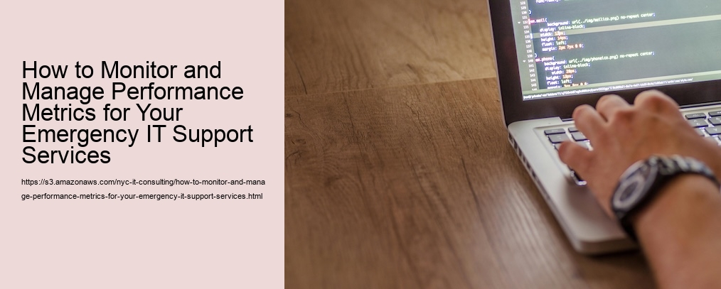 How to Monitor and Manage Performance Metrics for Your Emergency IT Support Services