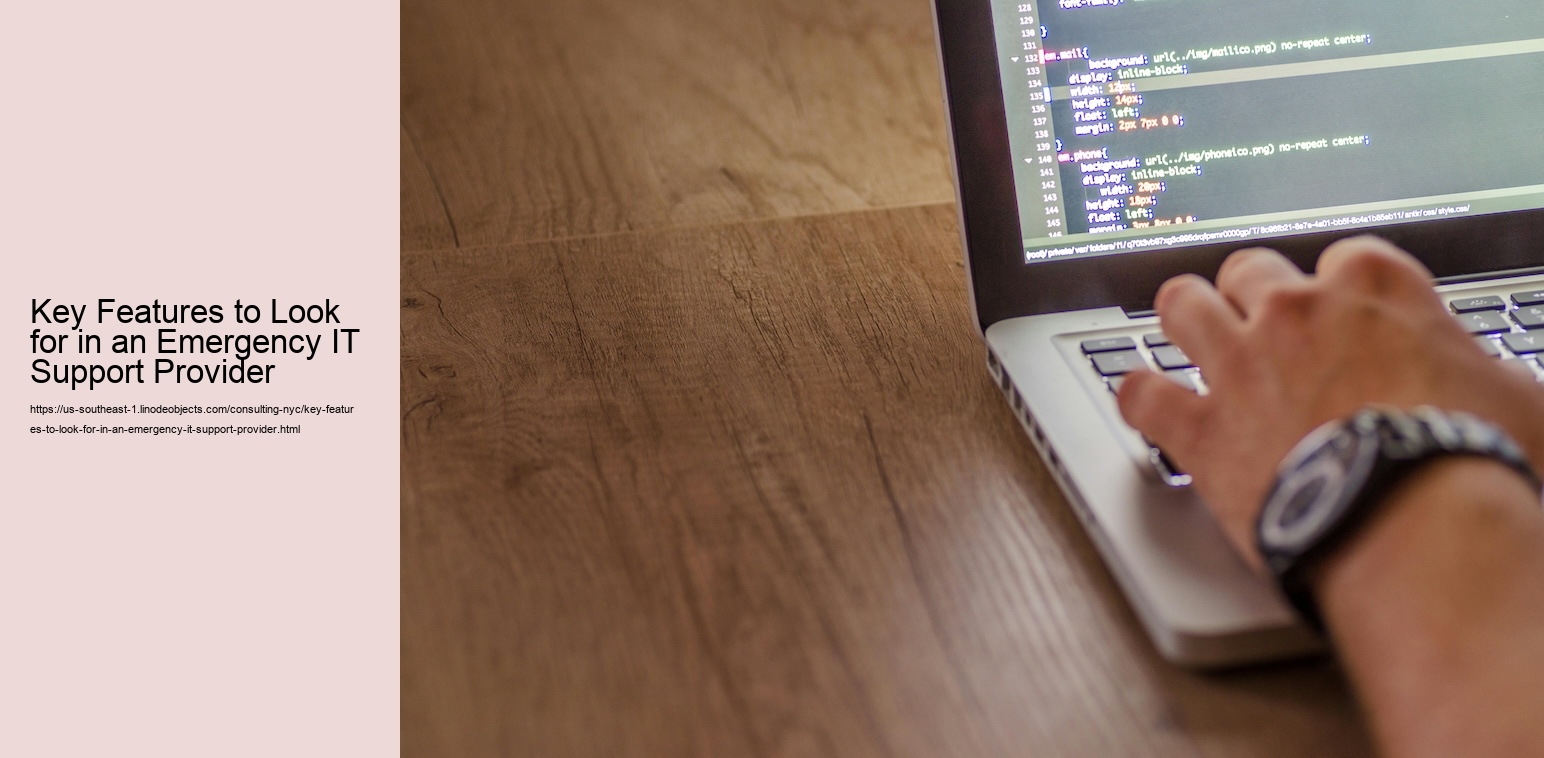 Key Features to Look for in an Emergency IT Support Provider 