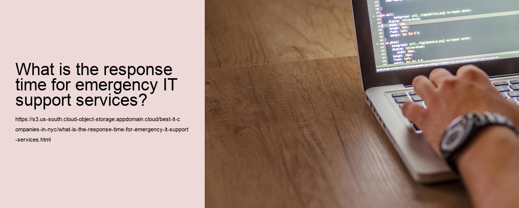 What is the response time for emergency IT support services?