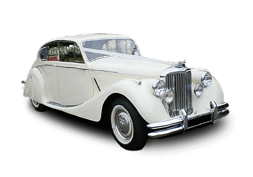 Limo Bus Rental