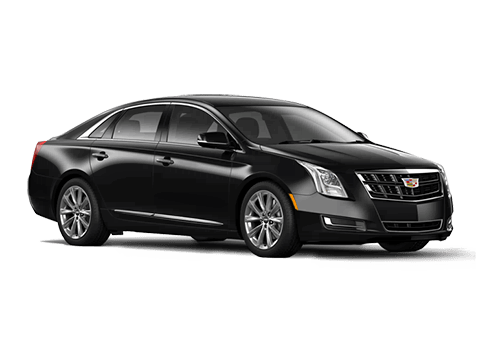 Limousine Companies
