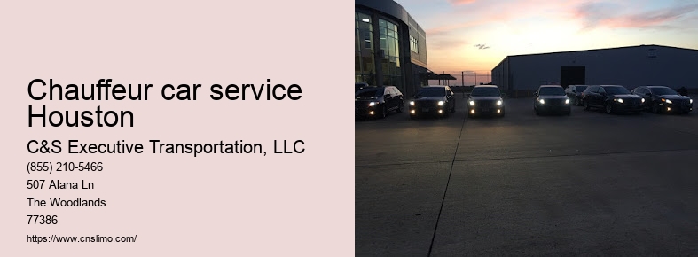 Limousine company