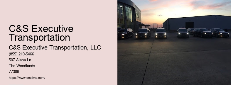 Limo bus rental