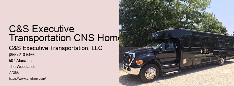 Stretch limo rental