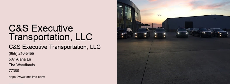 Chauffeur car service Houston