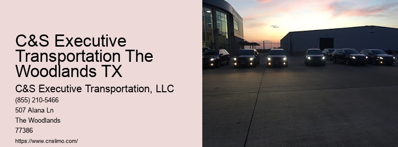 Airport limo service Houston