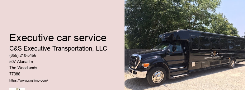 Executive chauffeur service Houston