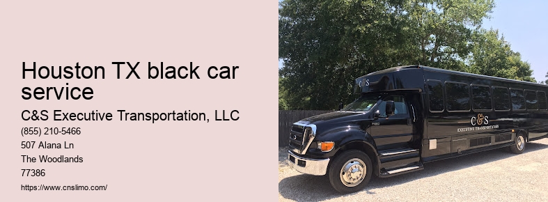 Luxury SUV service