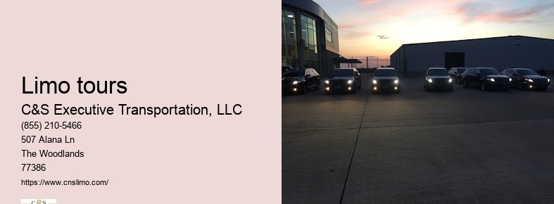 Houston airport limousine service