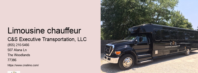 Chauffeur car service Houston