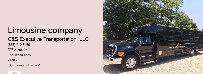 Airport limousine service Houston