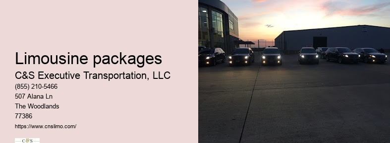 Private black town car service Houston TX
