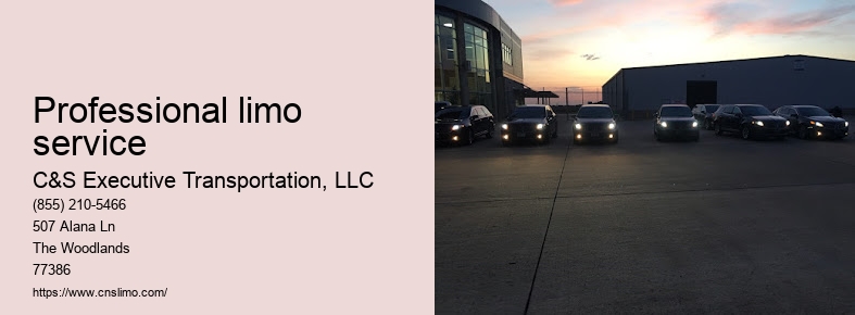 Limousine Houston