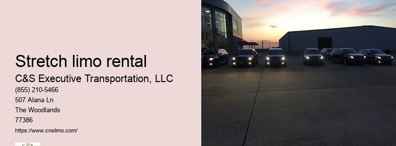 Houston limo service
