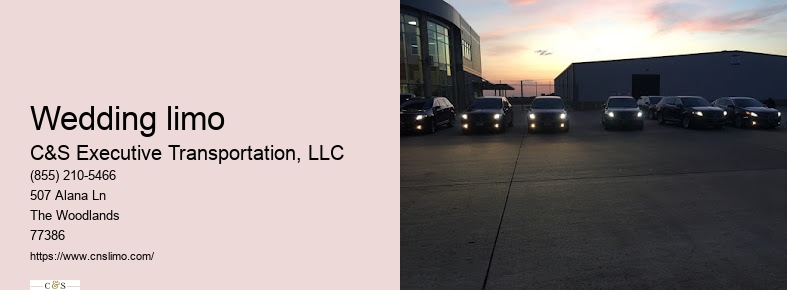 Limousine service