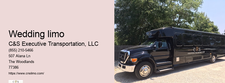 Limo rental