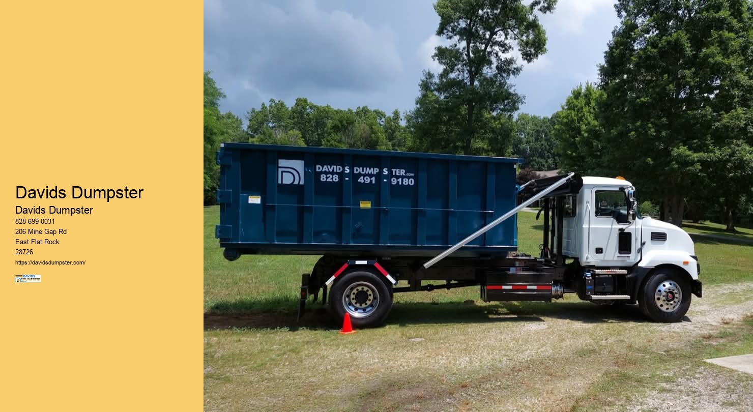 Davids Dumpster