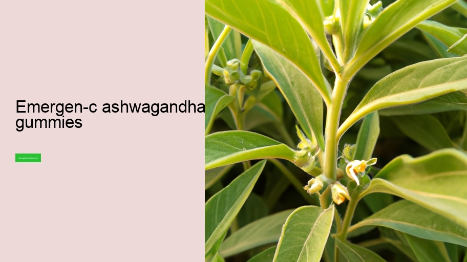 emergen-c ashwagandha gummies