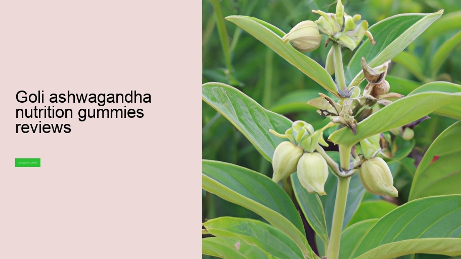 goli ashwagandha nutrition gummies reviews