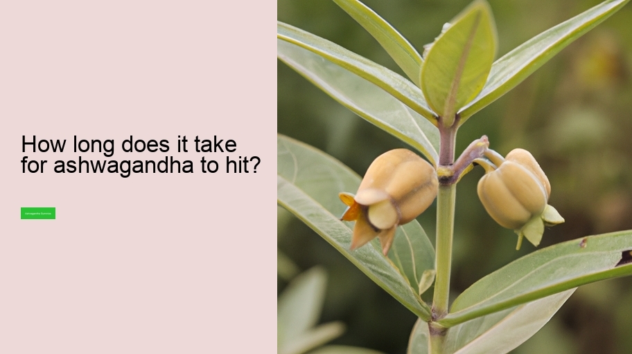 How long does it take for ashwagandha to hit?