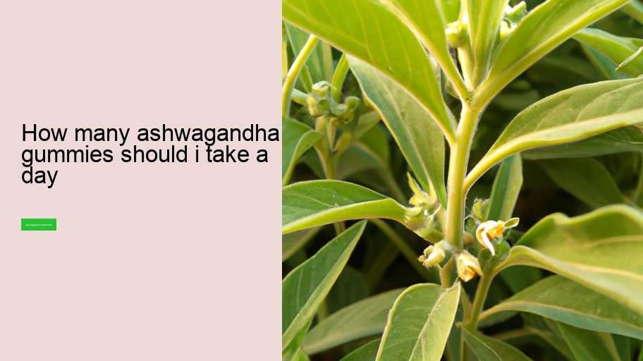 how many ashwagandha gummies should i take a day