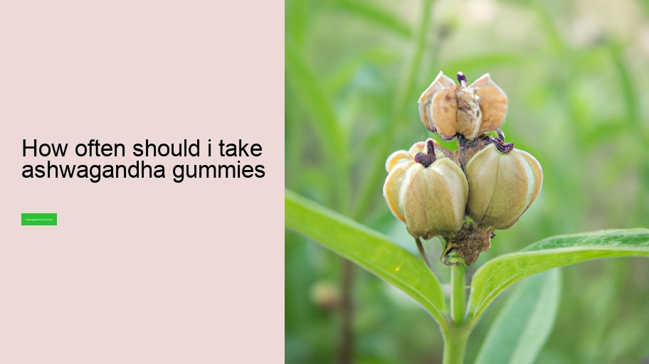 how often should i take ashwagandha gummies