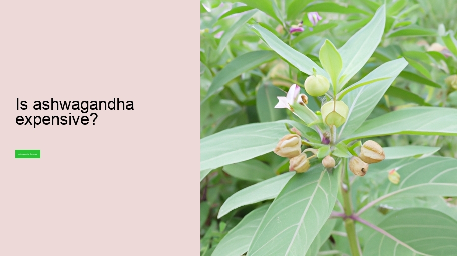 Is ashwagandha expensive?