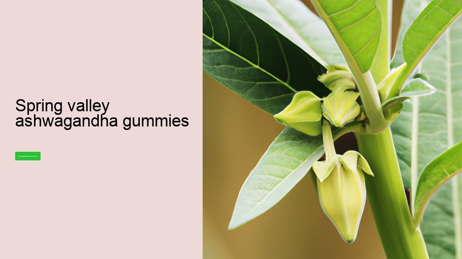spring valley ashwagandha gummies