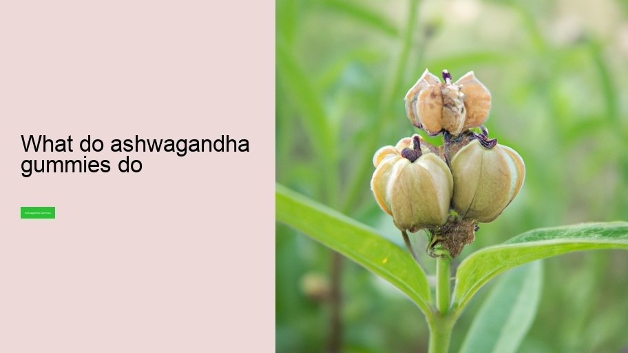 what do ashwagandha gummies do
