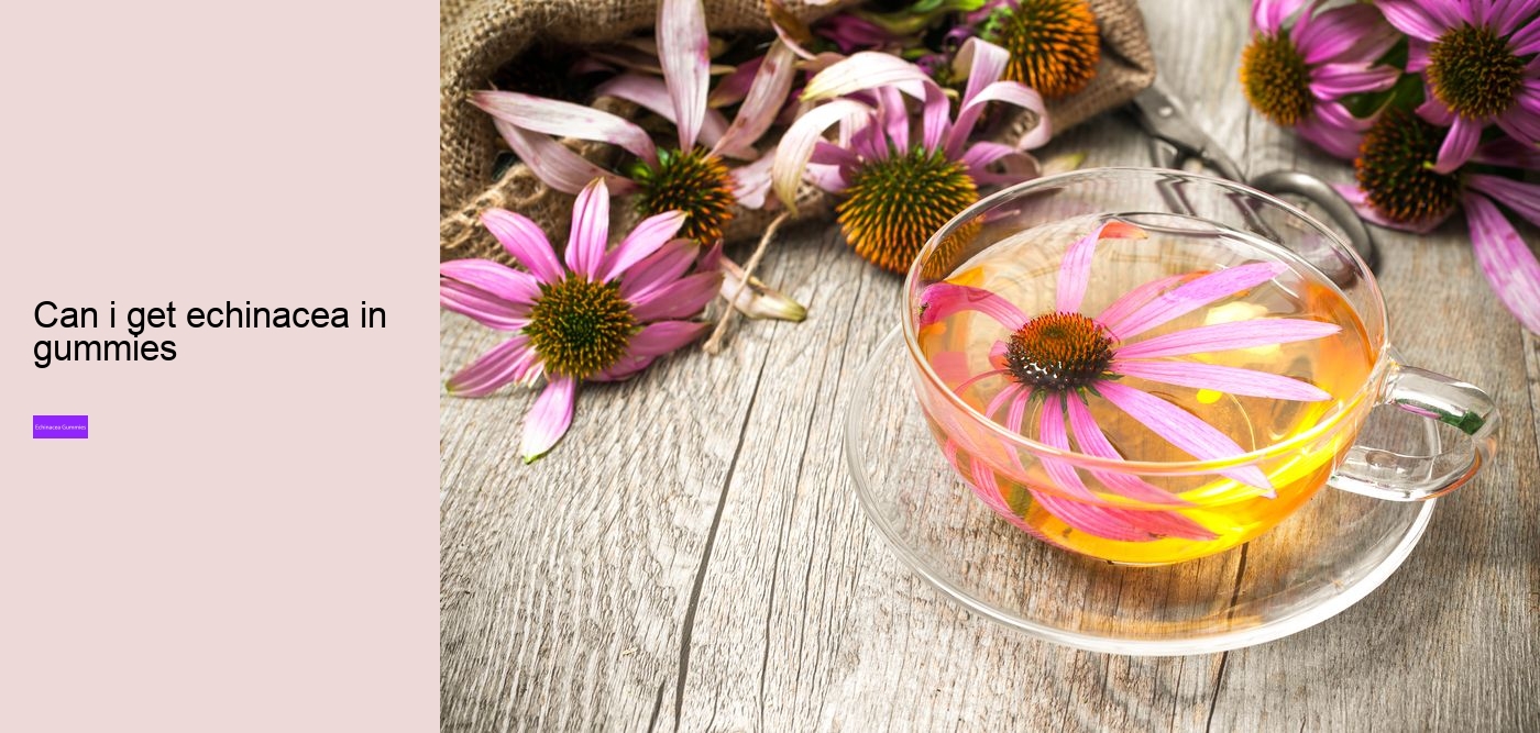 zinc echinacea gummies