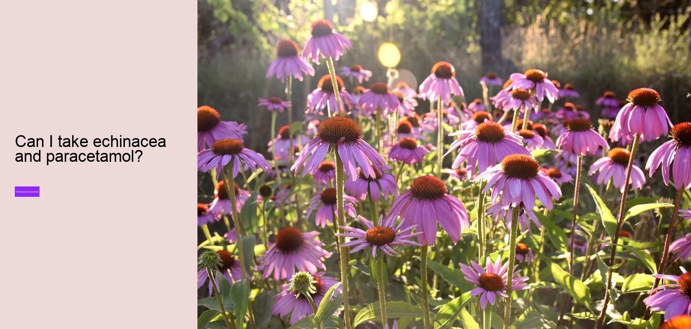 Can I take echinacea supplements everyday?