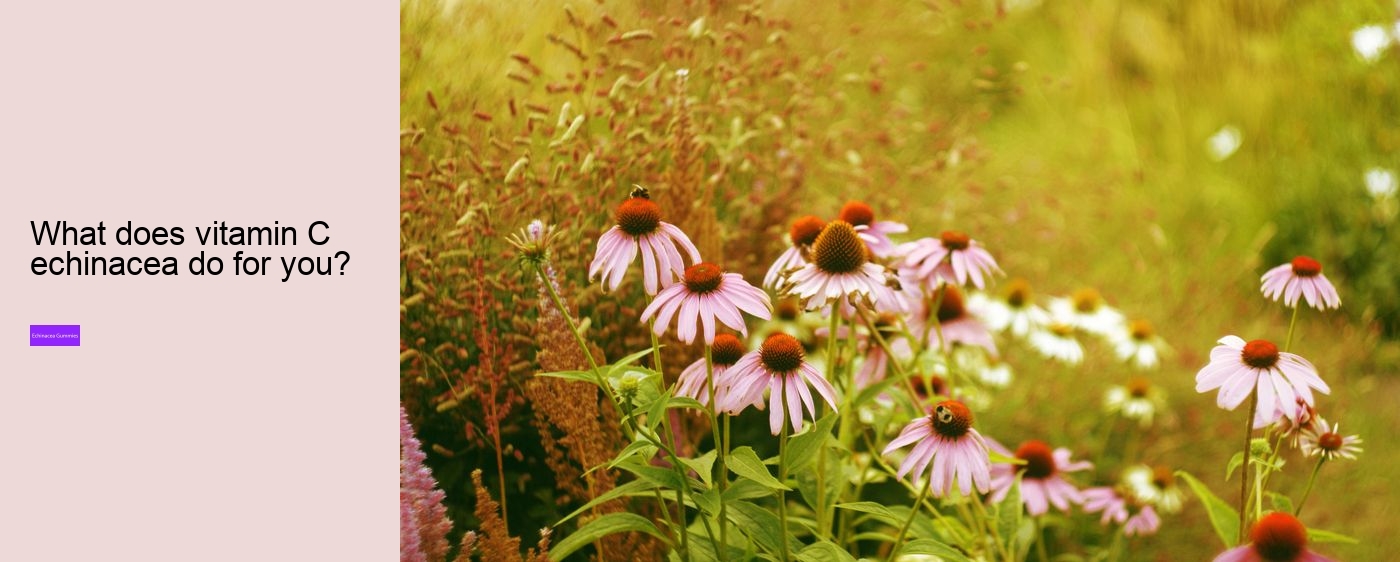 What are the benefits of propolis and echinacea gummies?