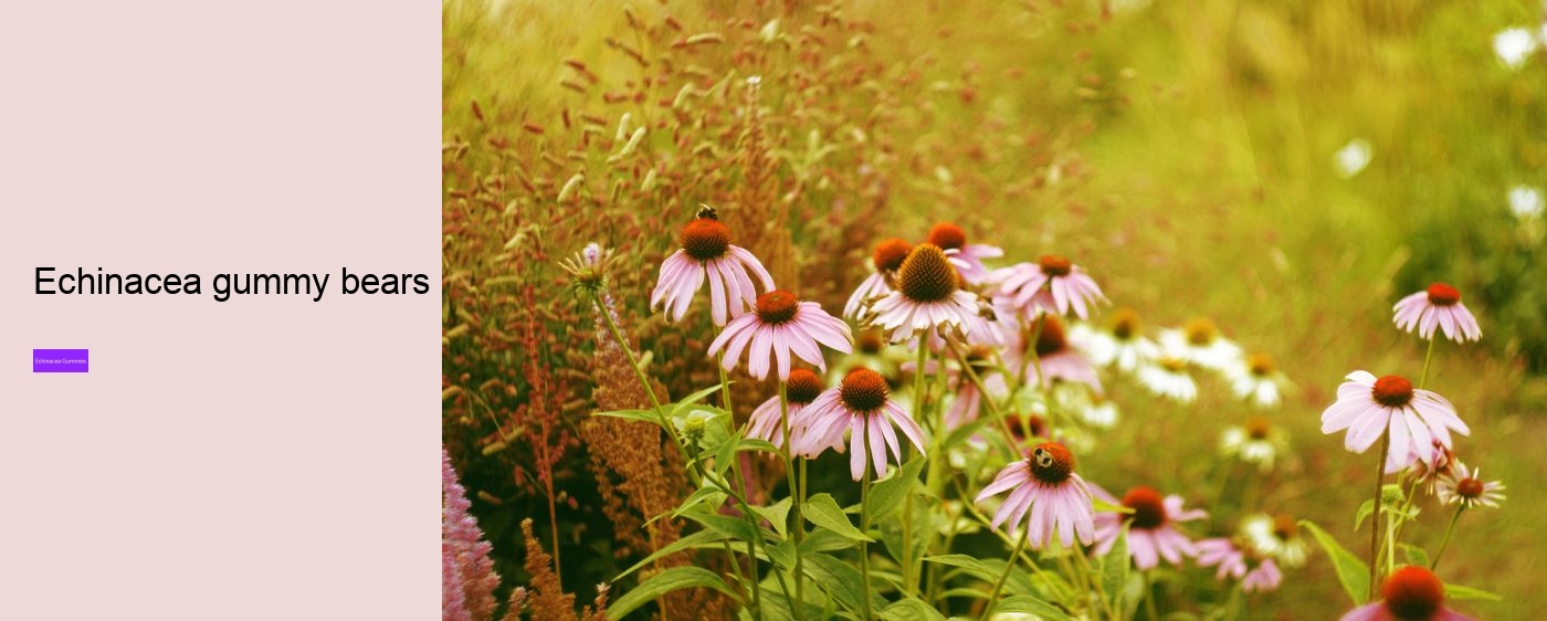 vitamin c with echinacea and zinc