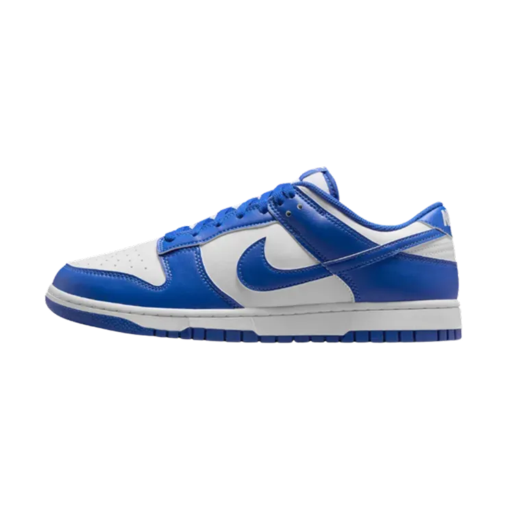 Nike Dunk Low Retro Blue White