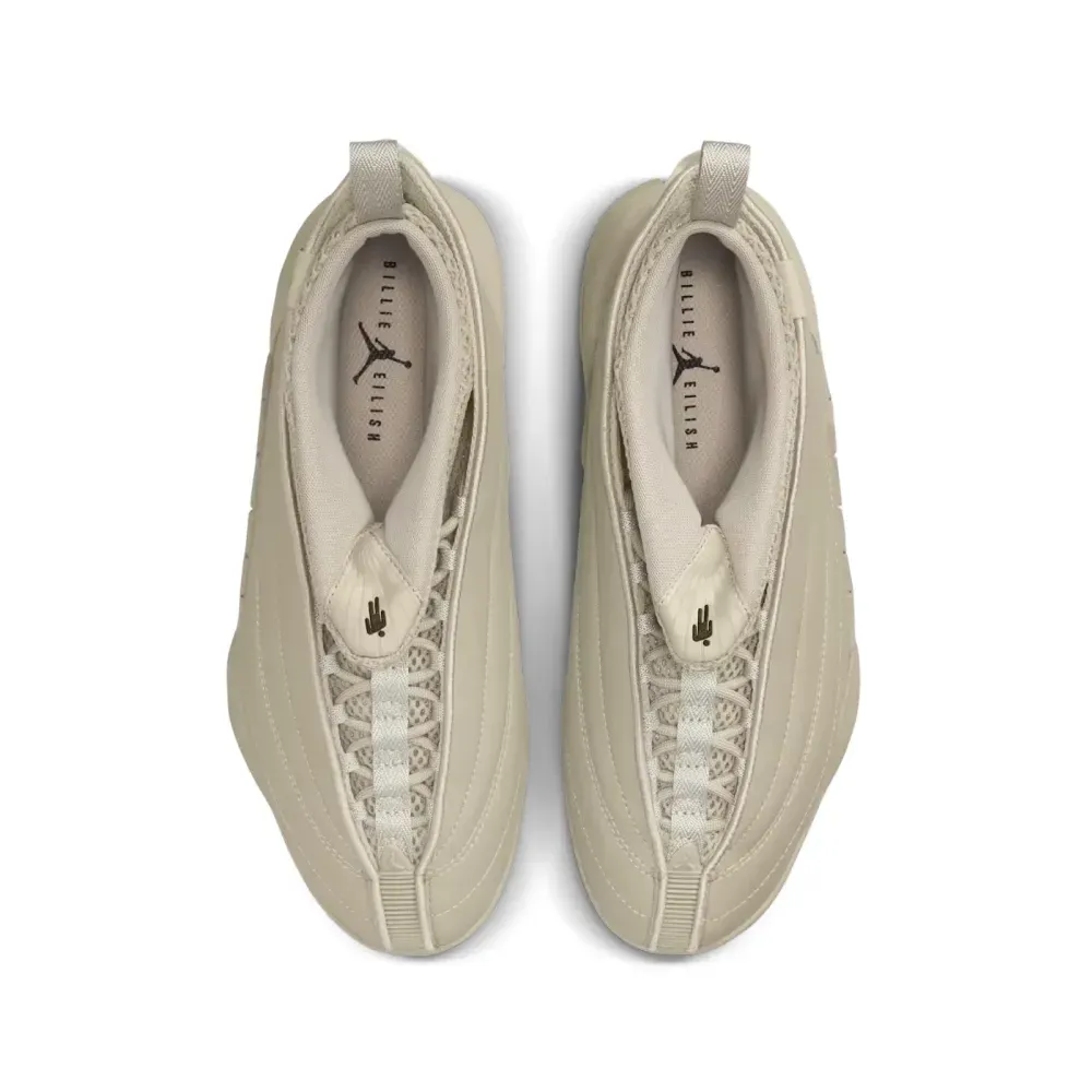 Imagem Billie Eilish x Air Jordan 15