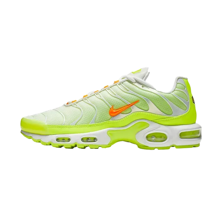 Nike Air Max Plus Color Flip Pack Grape