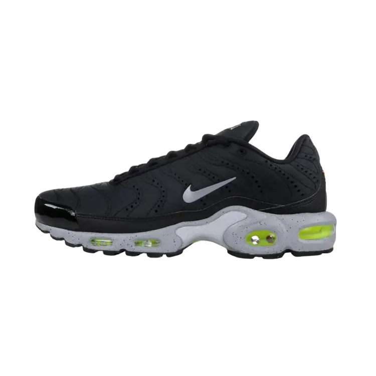Nike Air Max Plus Tuned to Black