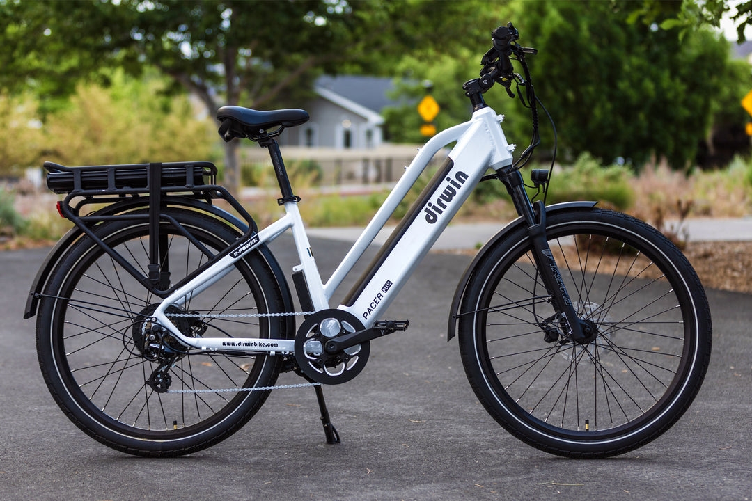 Cargo Ebikes for Pets, Picnic Gear, and Outdoor Adventures