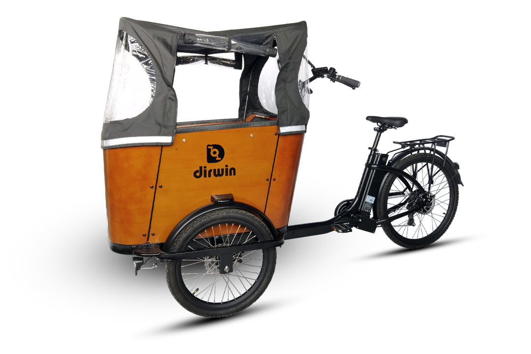Are cargo ebikes cost-effective in the long run?