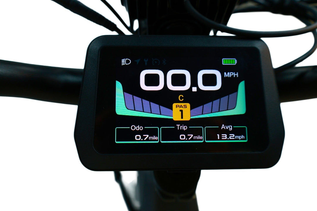 Are cargo ebikes a viable replacement for cars?